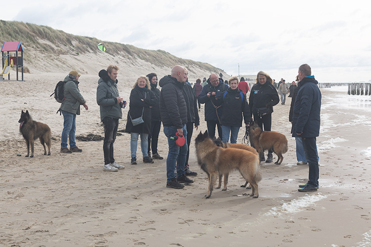 Wandeling Zoutelanden